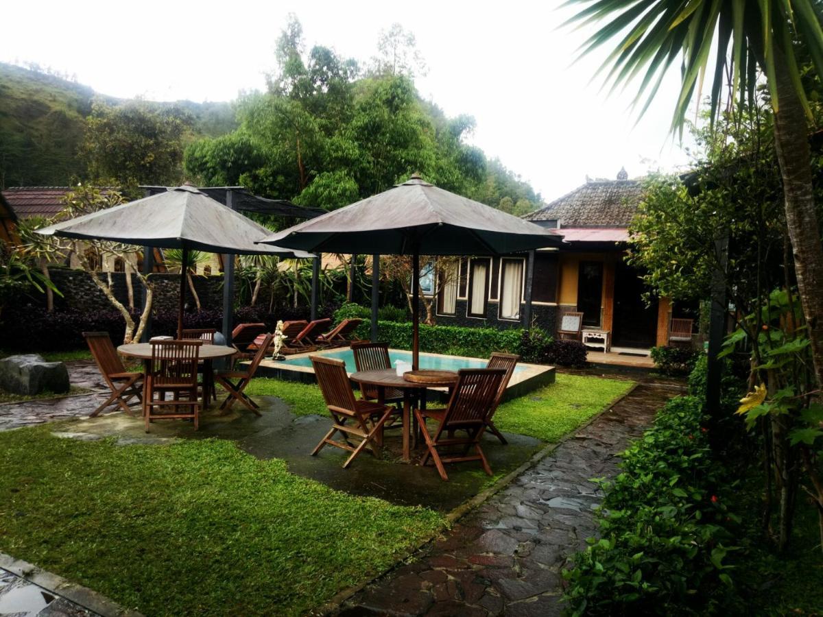 Bunbulan Hill Hostel And Cottage Kintamani  Exterior photo